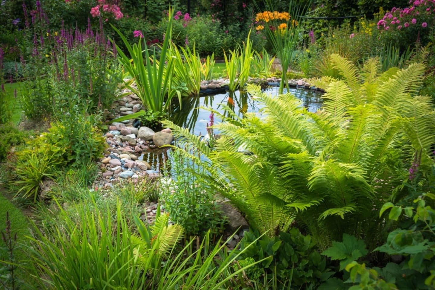 Garten-Tipps für den Herbst: So bereitest du deinen Garten optimal vor!