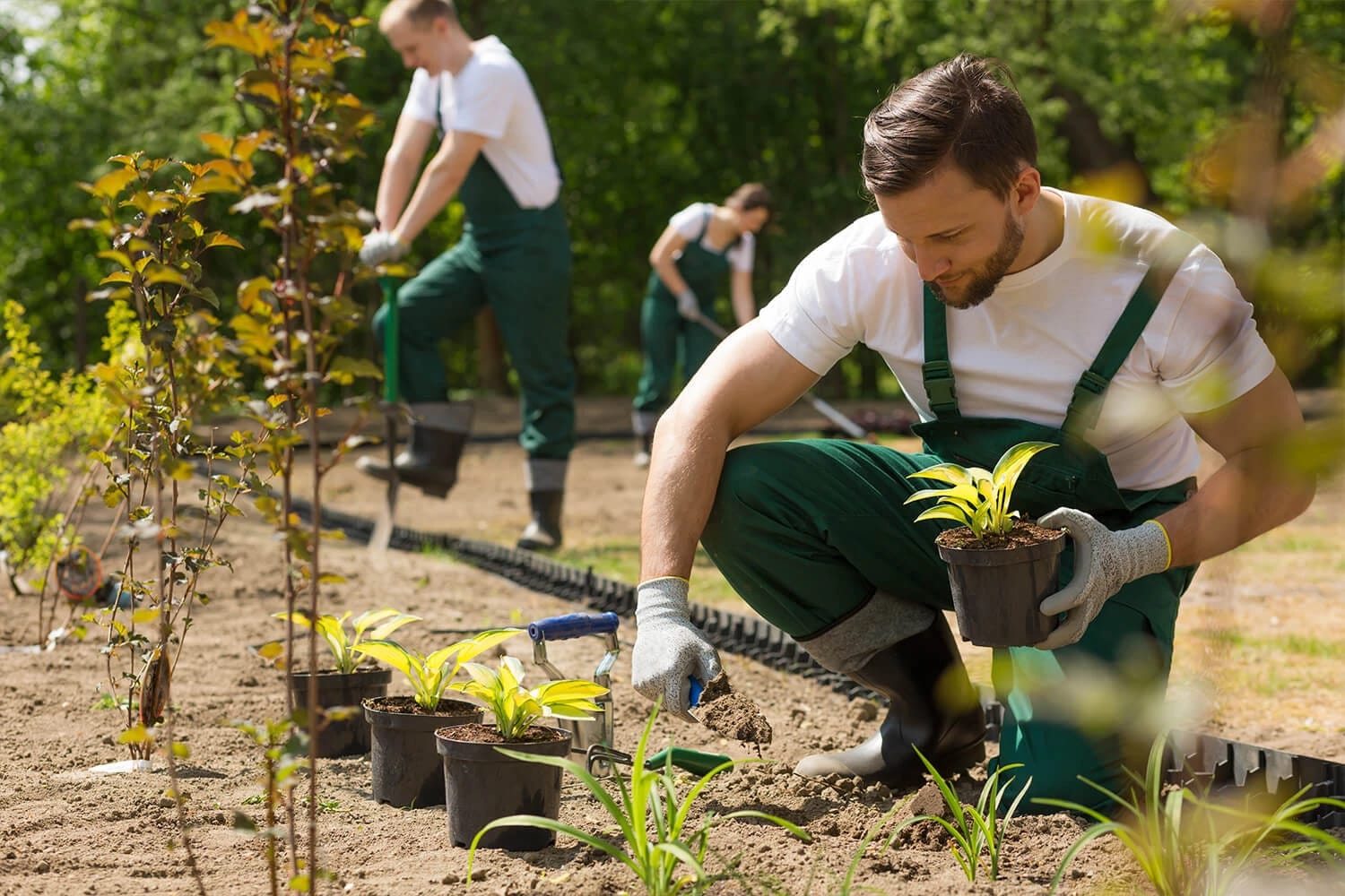 Landschaftsgärtner in der Nähe gesucht? Meister-job hilft dir beim Vergleich