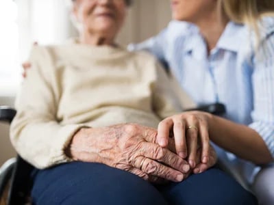 Haustierbetreuung in Kleinanzeigen: Entdecken Sie professionelle Hilfe für Ihre vierbeinigen Freunde