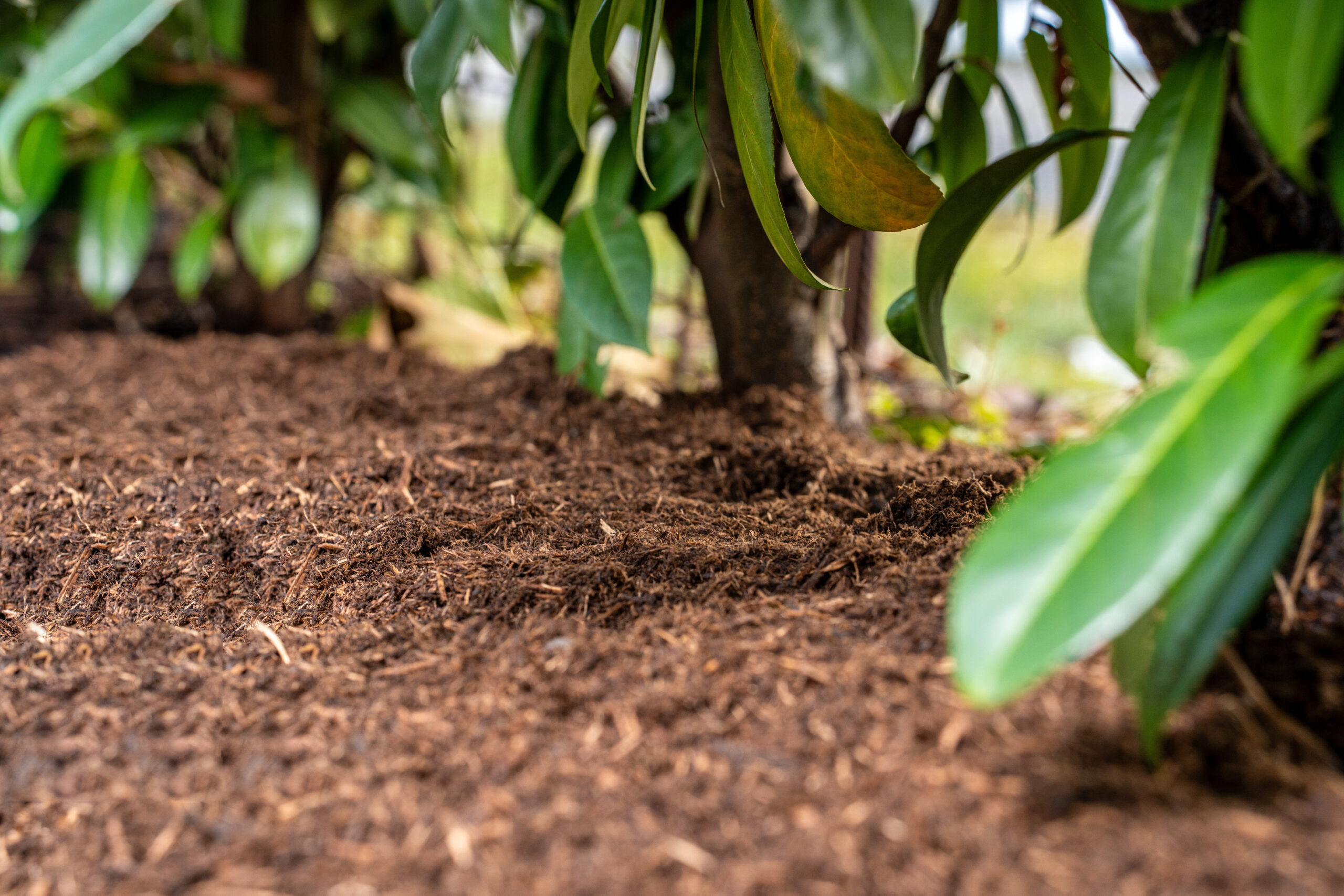 Wo Sie Gartenfaser kaufen können, um die besten Ergebnisse in Ihrem Garten zu erzielen