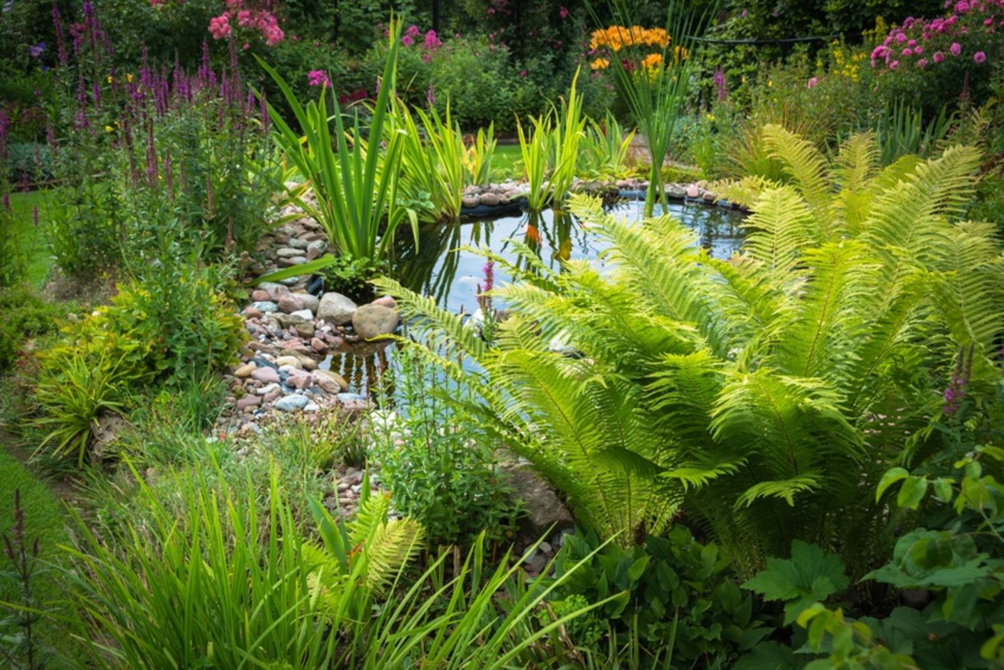 Garten-Tipps für den Herbst: So bereitest du deinen Garten optimal vor!